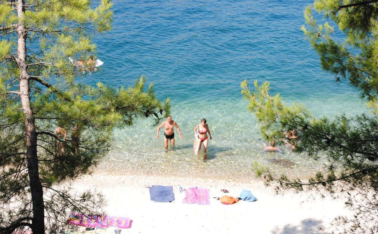 Summer Residence Near The Sea Donji Okrug  Екстериор снимка
